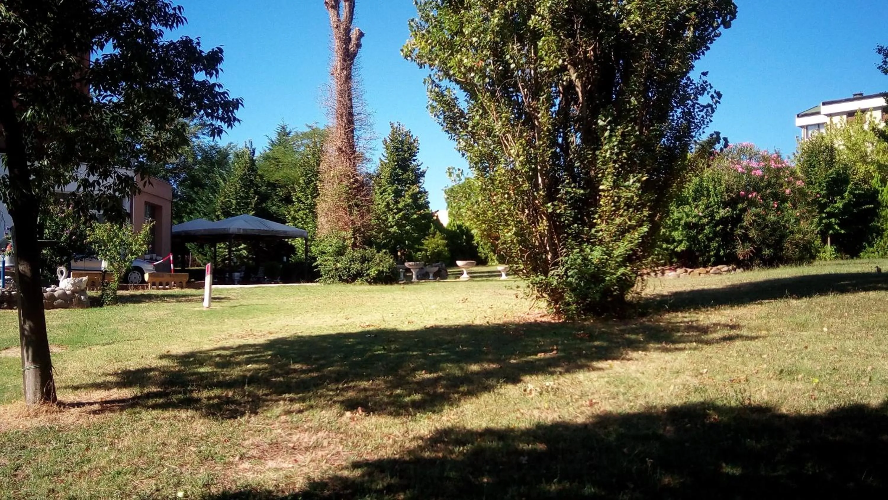 Garden view in Hotel Parigi