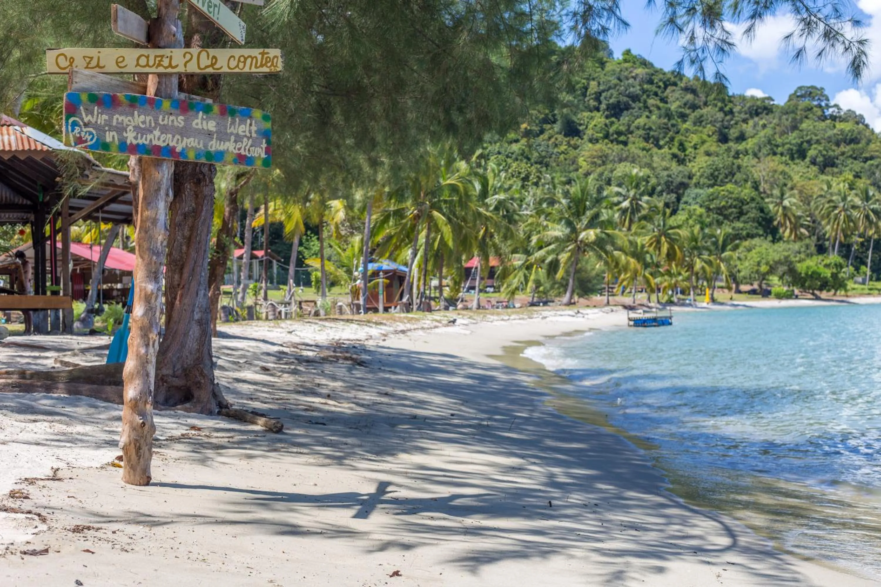 Beach in Wild Pasir Panjang