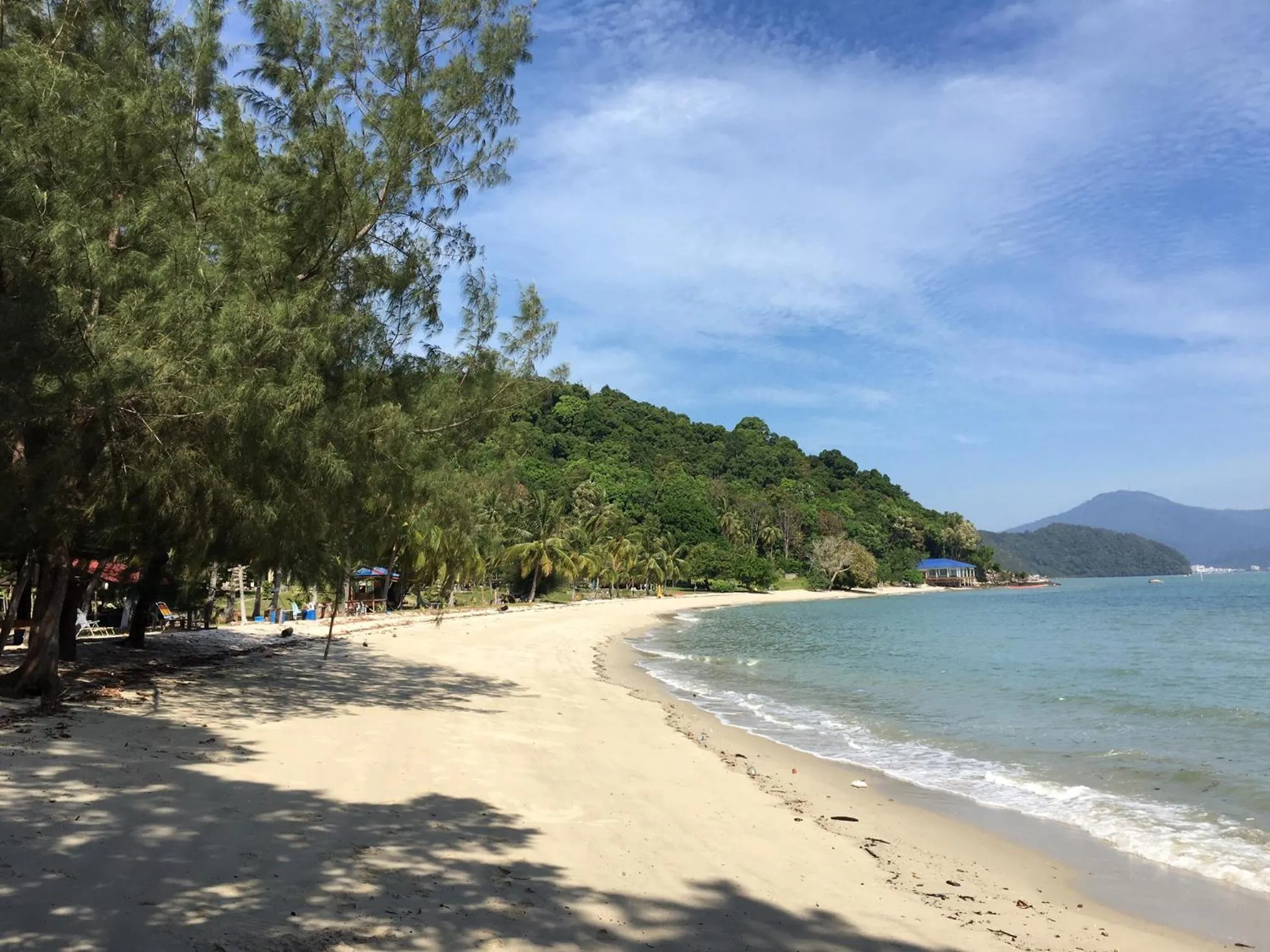 Beach in Wild Pasir Panjang