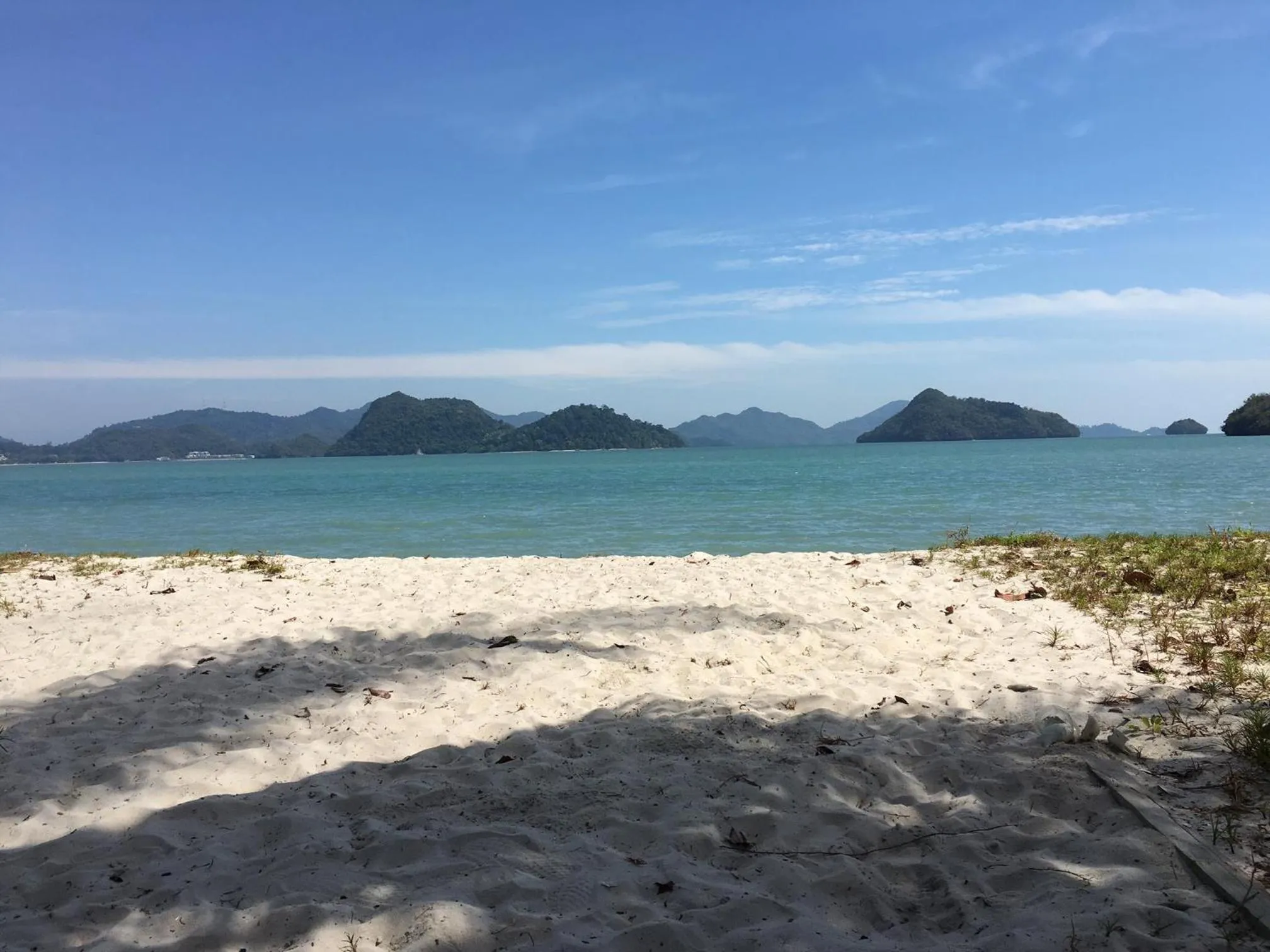 Patio in Wild Pasir Panjang