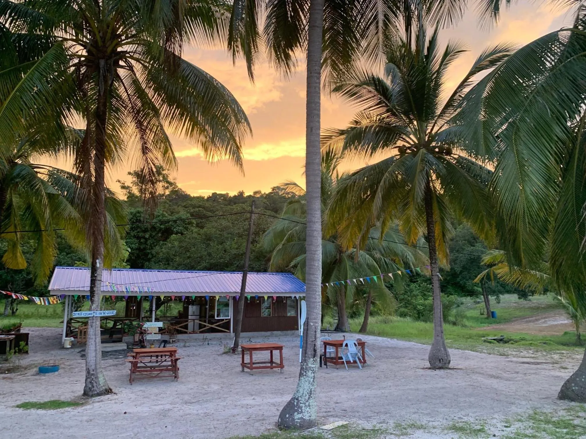 Restaurant/places to eat in Wild Pasir Panjang