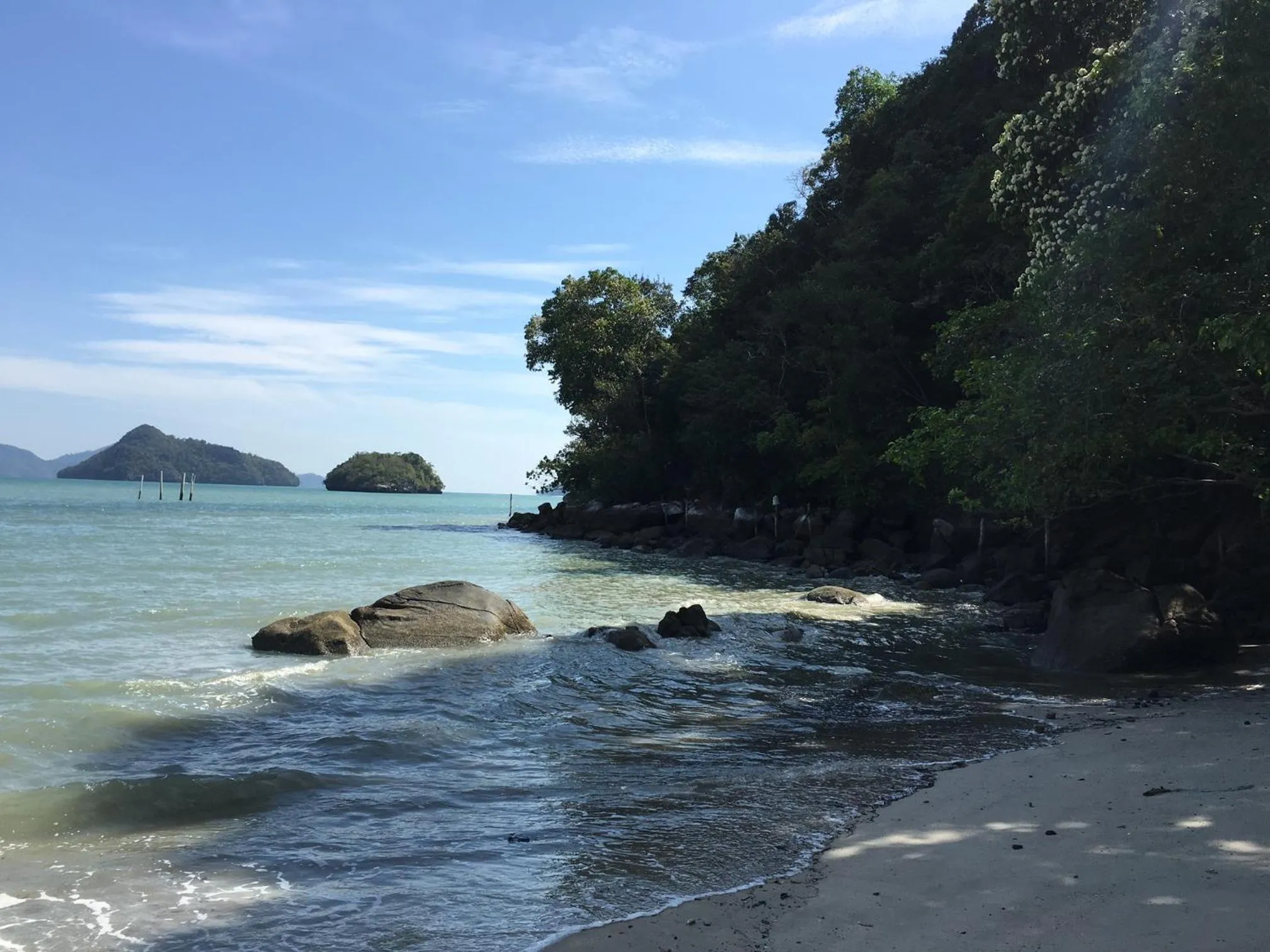 Beach in Wild Pasir Panjang