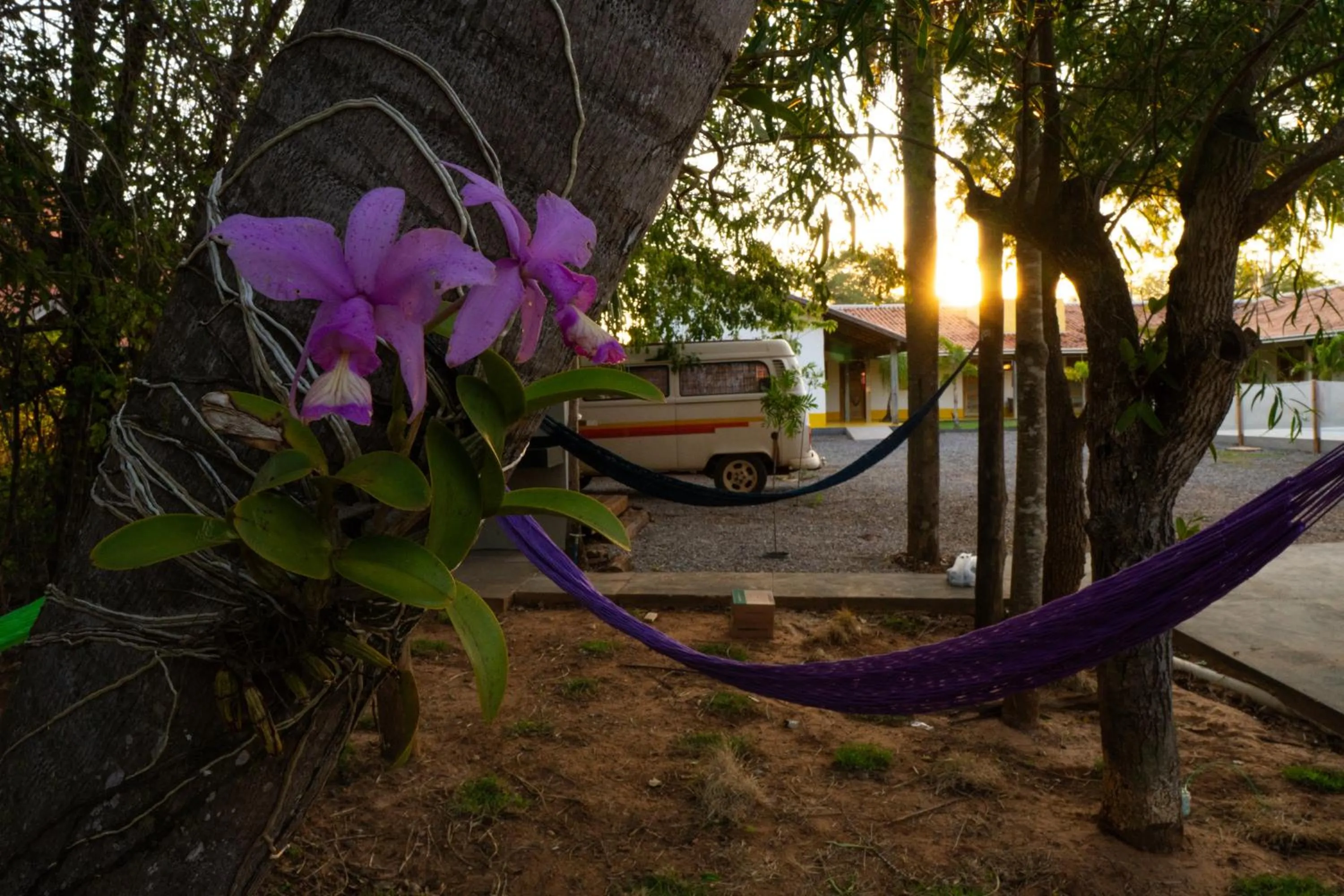 Garden in Pousada Aracuã