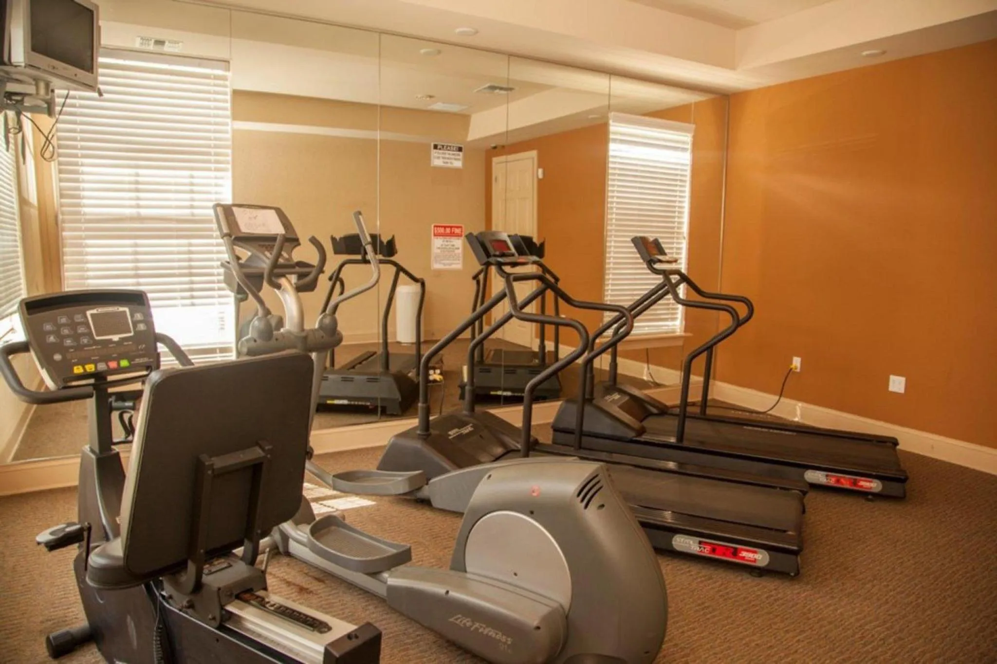 Bibbidi Bobbidi Bunkin