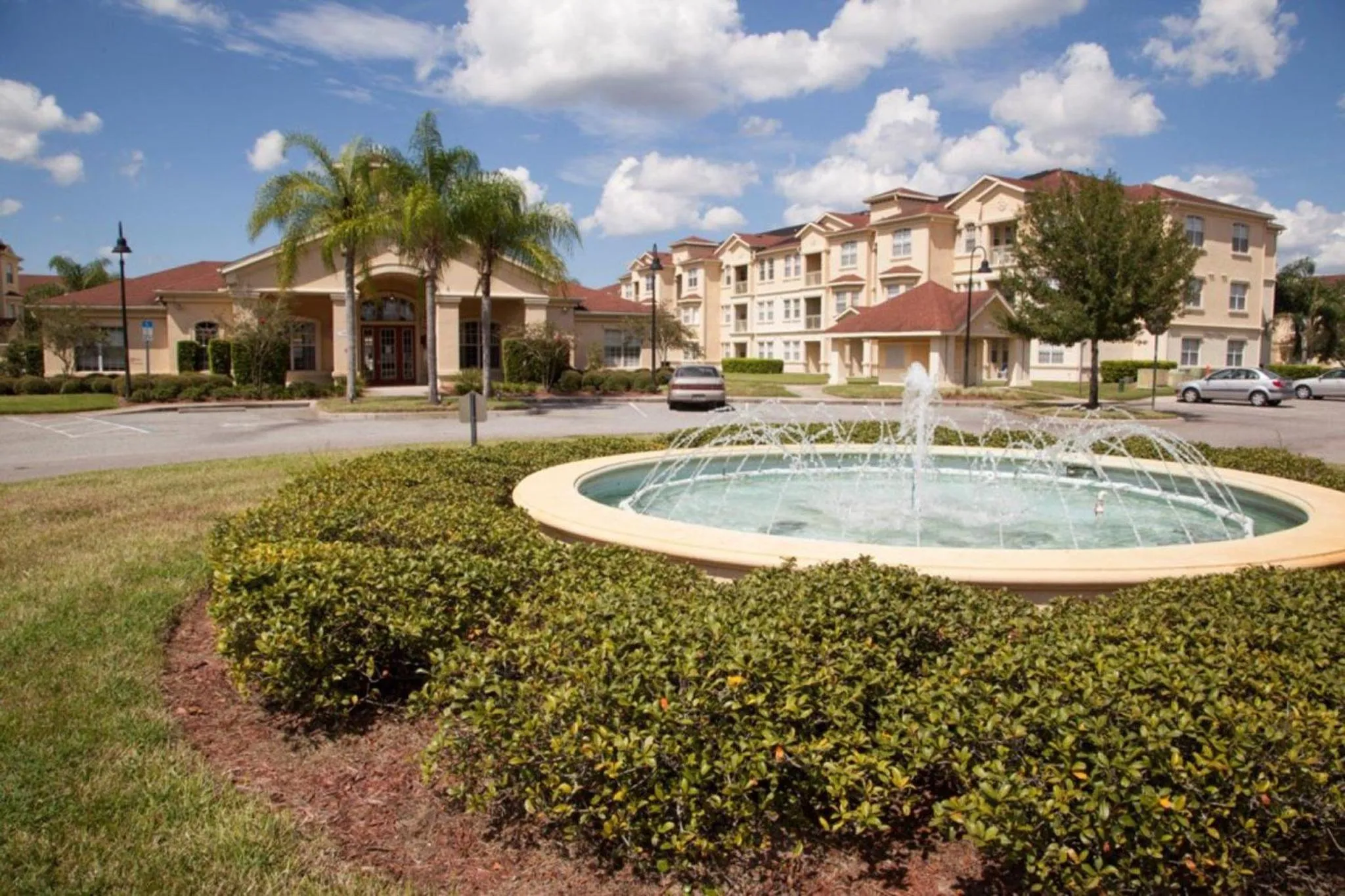Pool Side Tree House