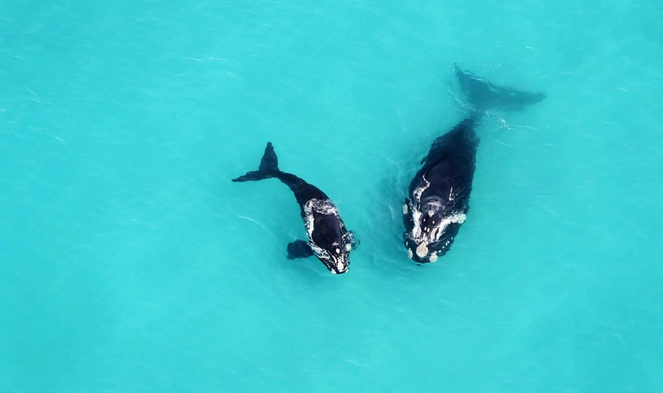 Beach in Misty Waves Boutique Hotel
