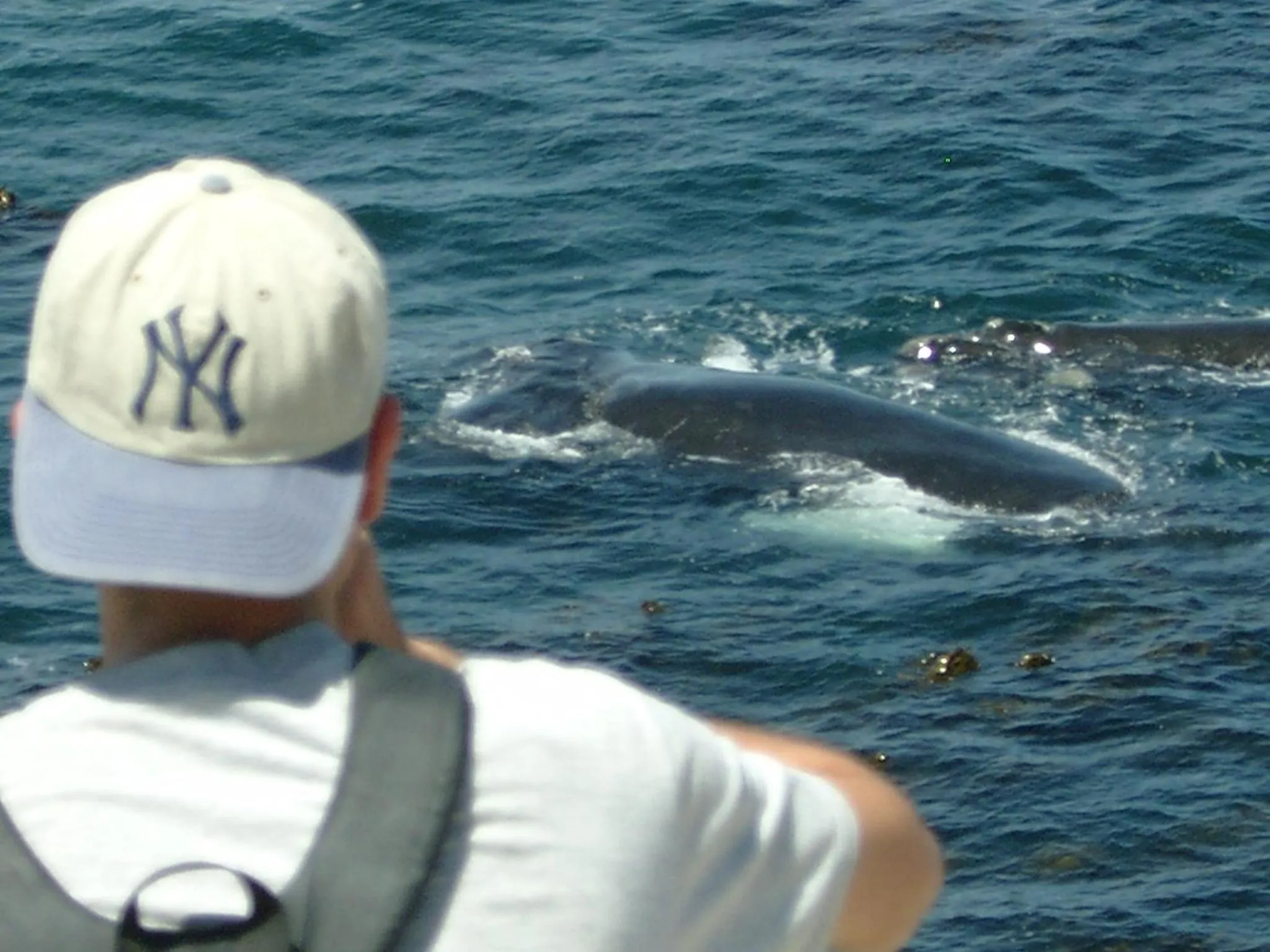 Activities in Misty Waves Boutique Hotel