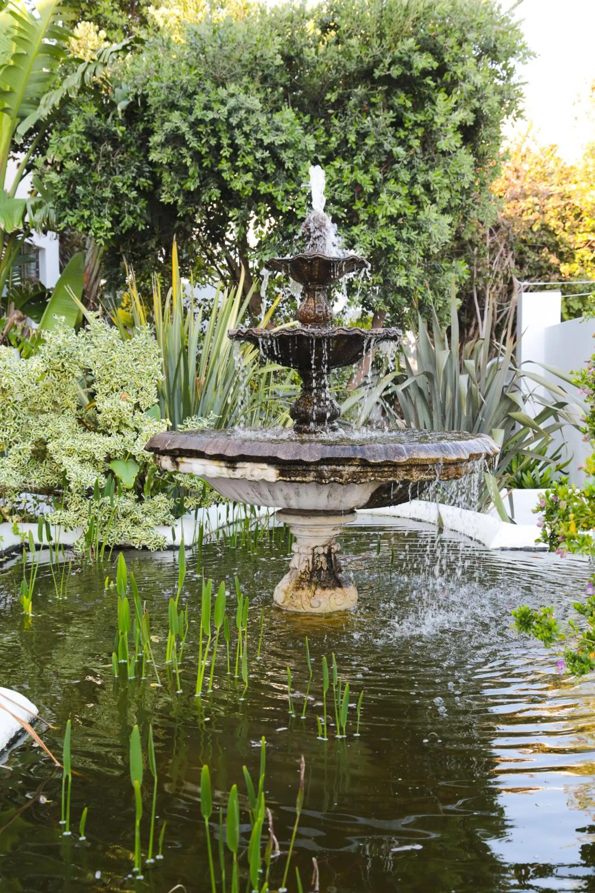 Garden in Misty Waves Boutique Hotel