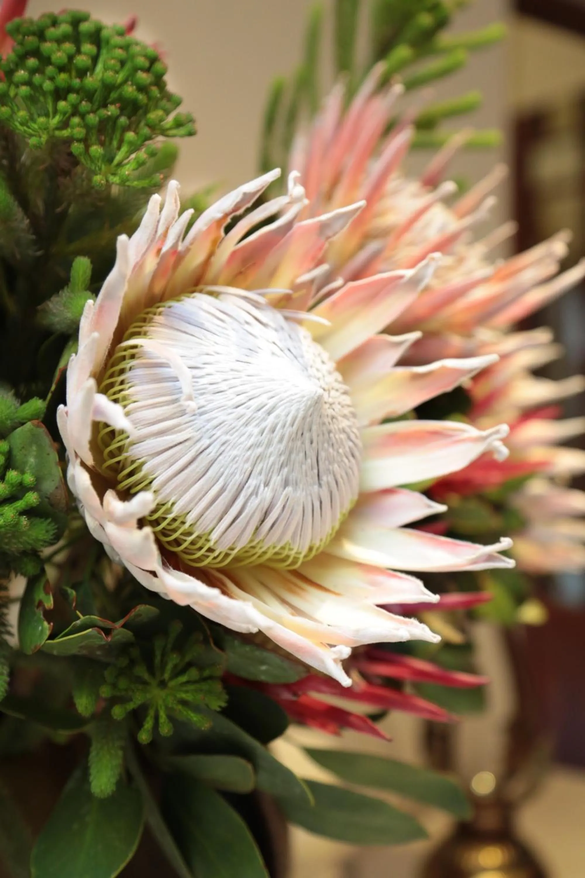 Spring in Misty Waves Boutique Hotel