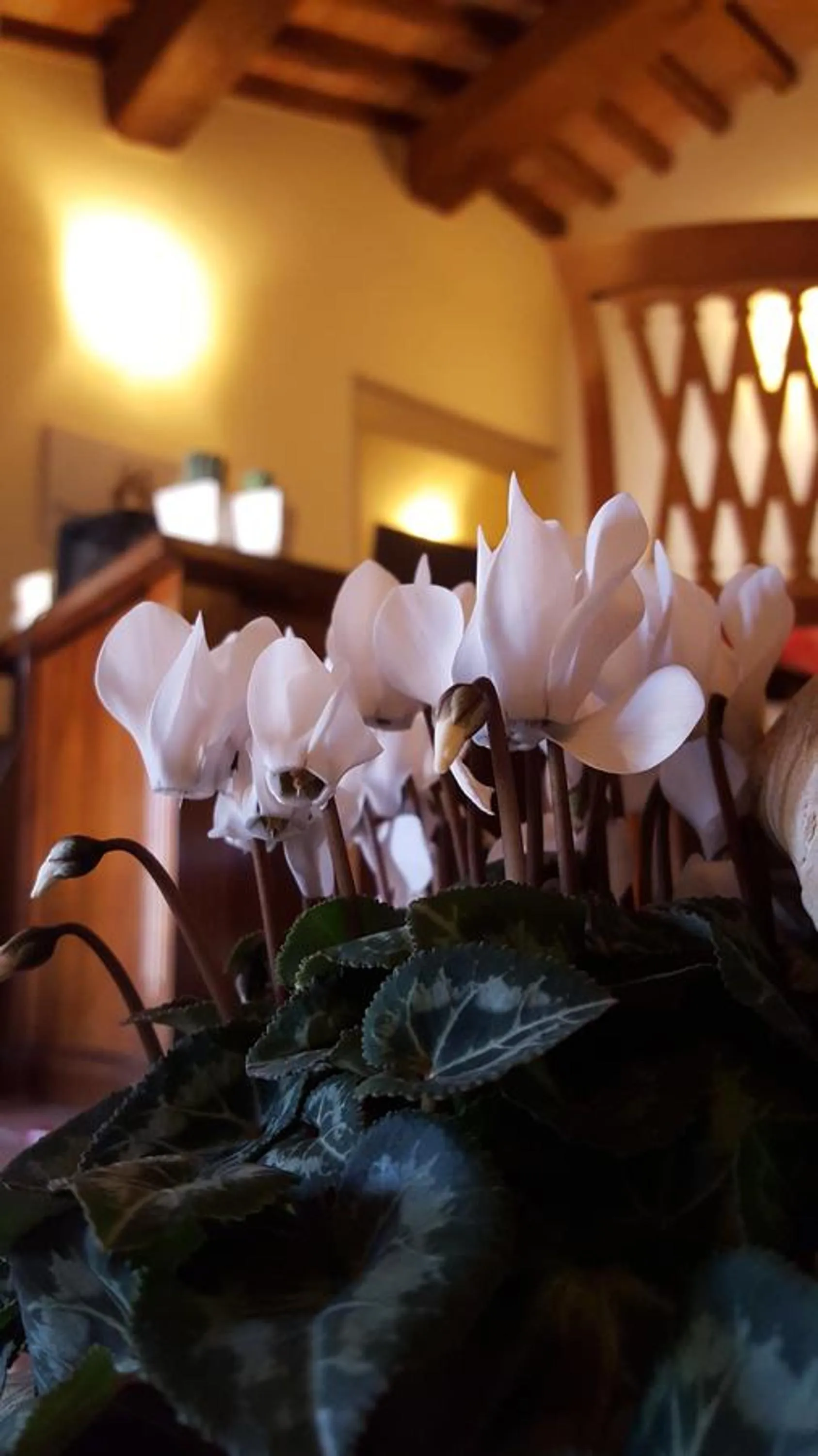 Lobby or reception in Dimora Fra' Giovanni B&B Relais