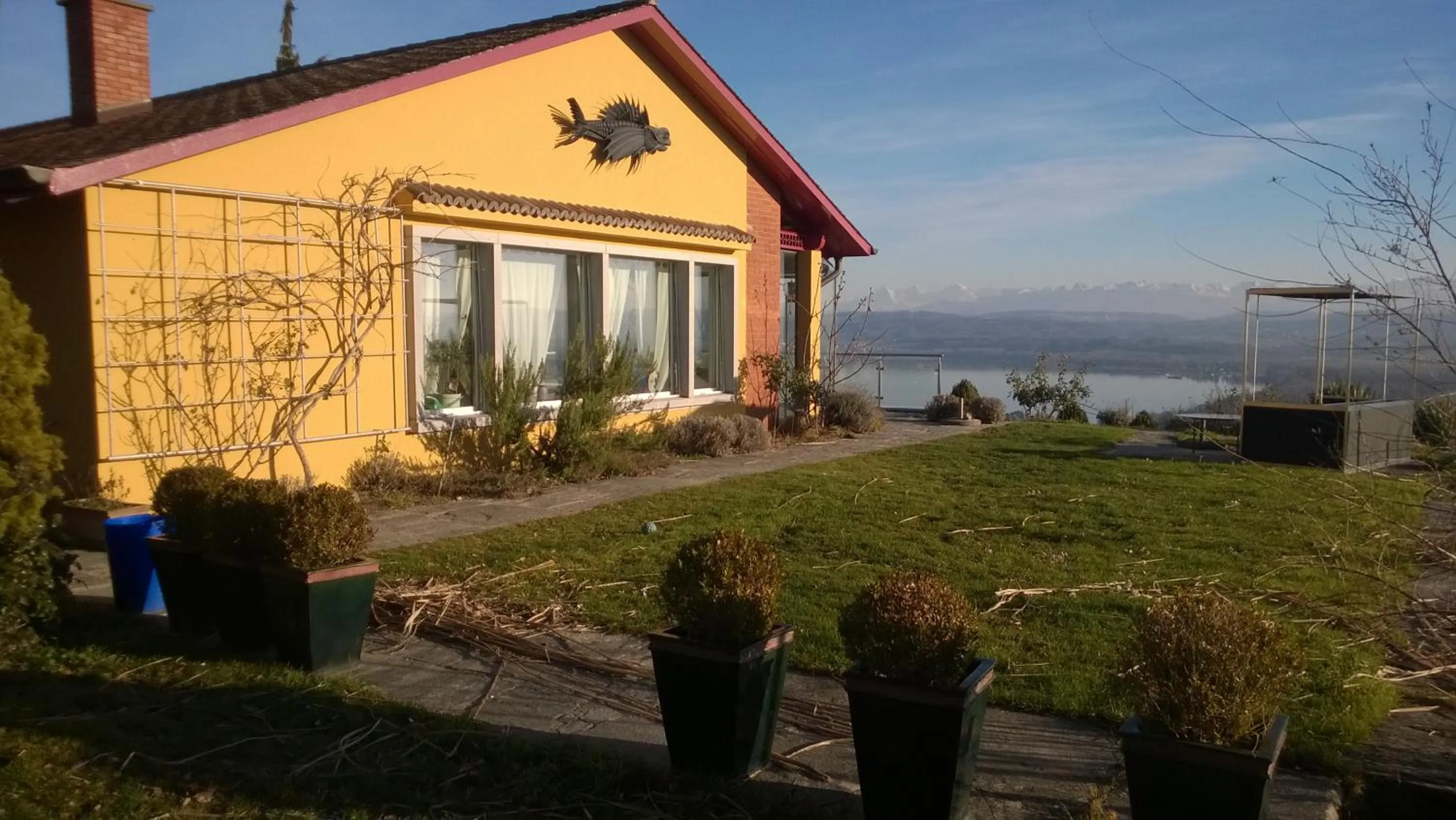 Property building in Swiss Borzoi House