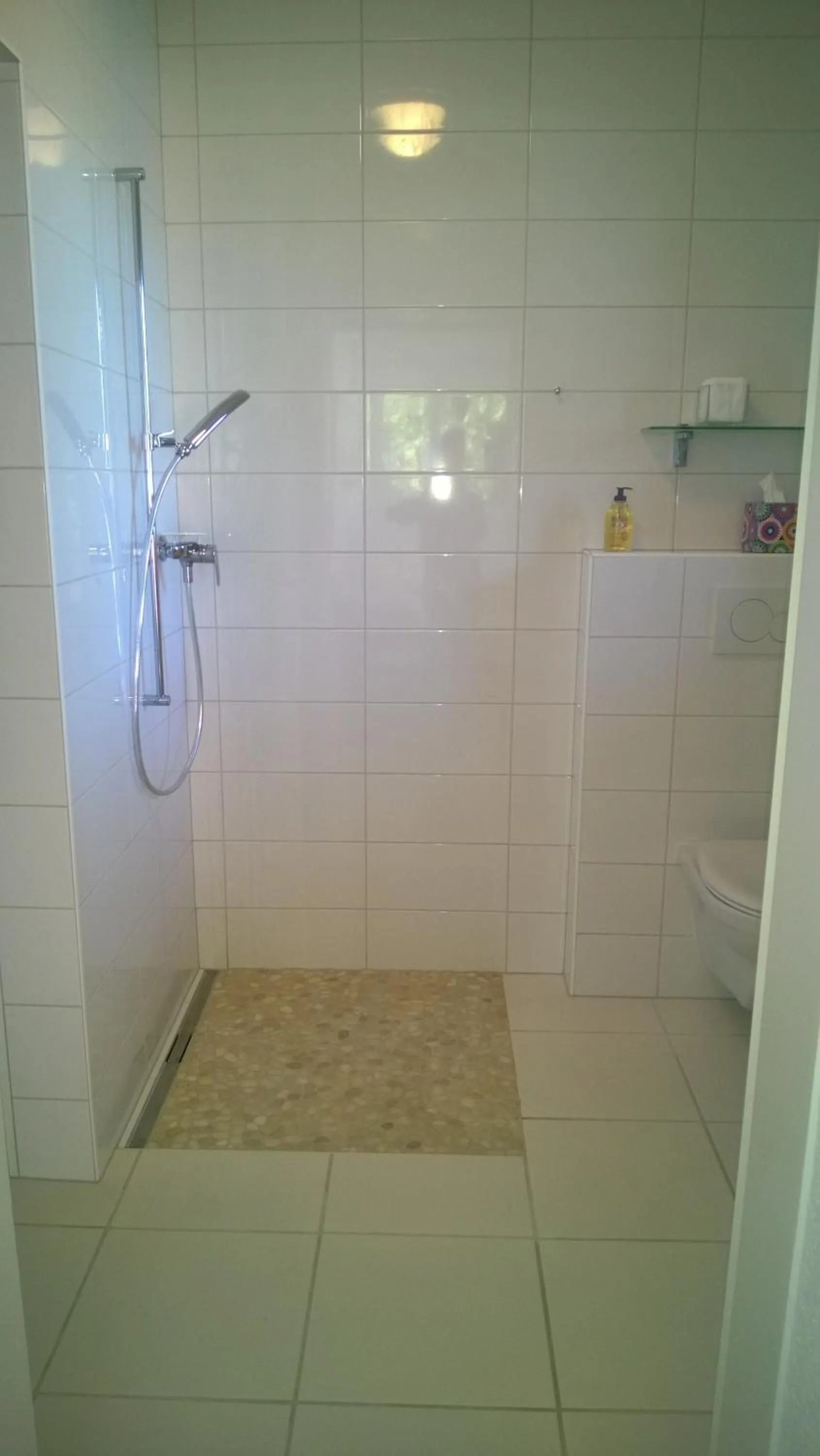 Shower in Swiss Borzoi House