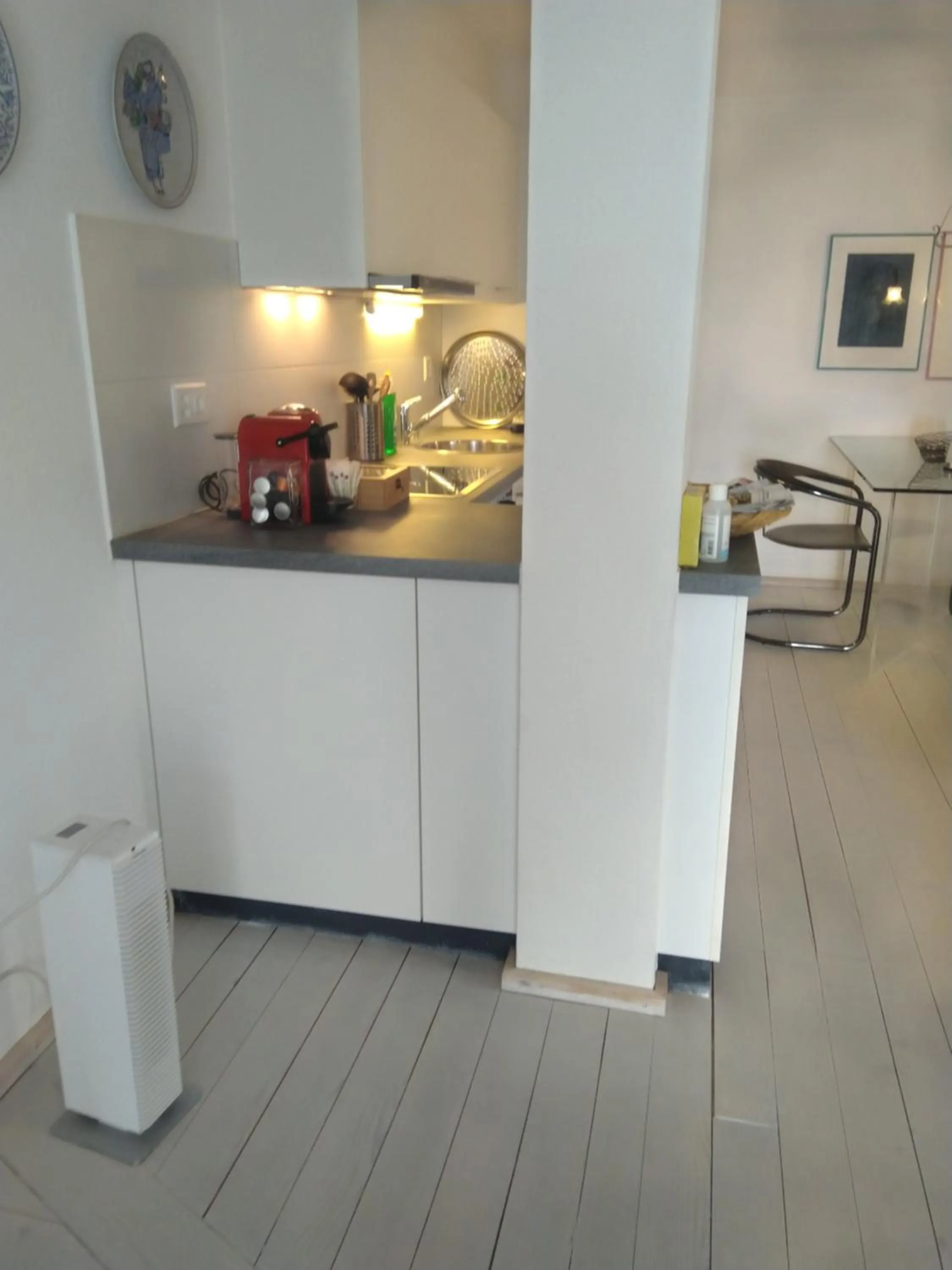 Coffee/tea facilities in Swiss Borzoi House