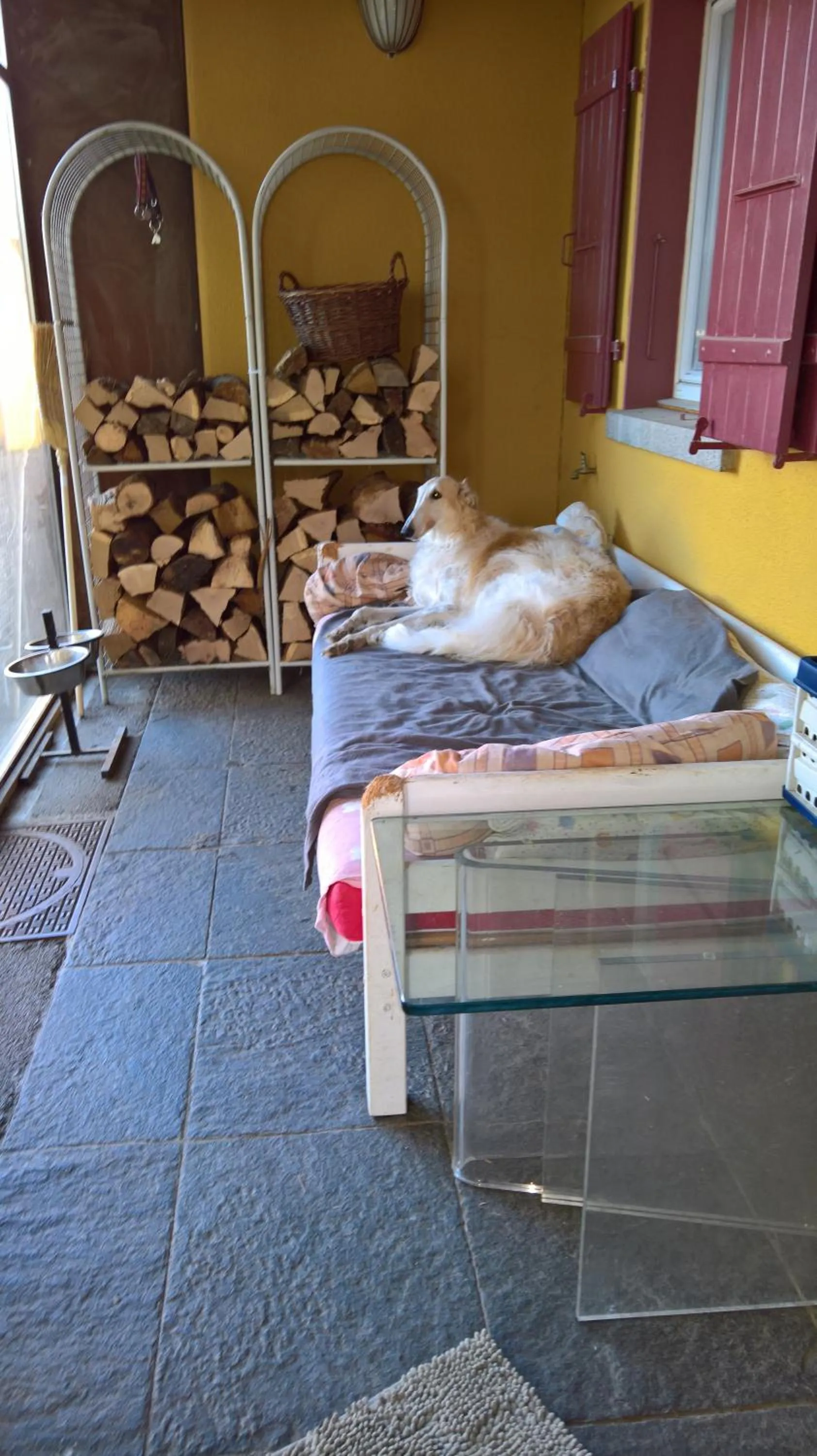 Property building, Bed in Swiss Borzoi House