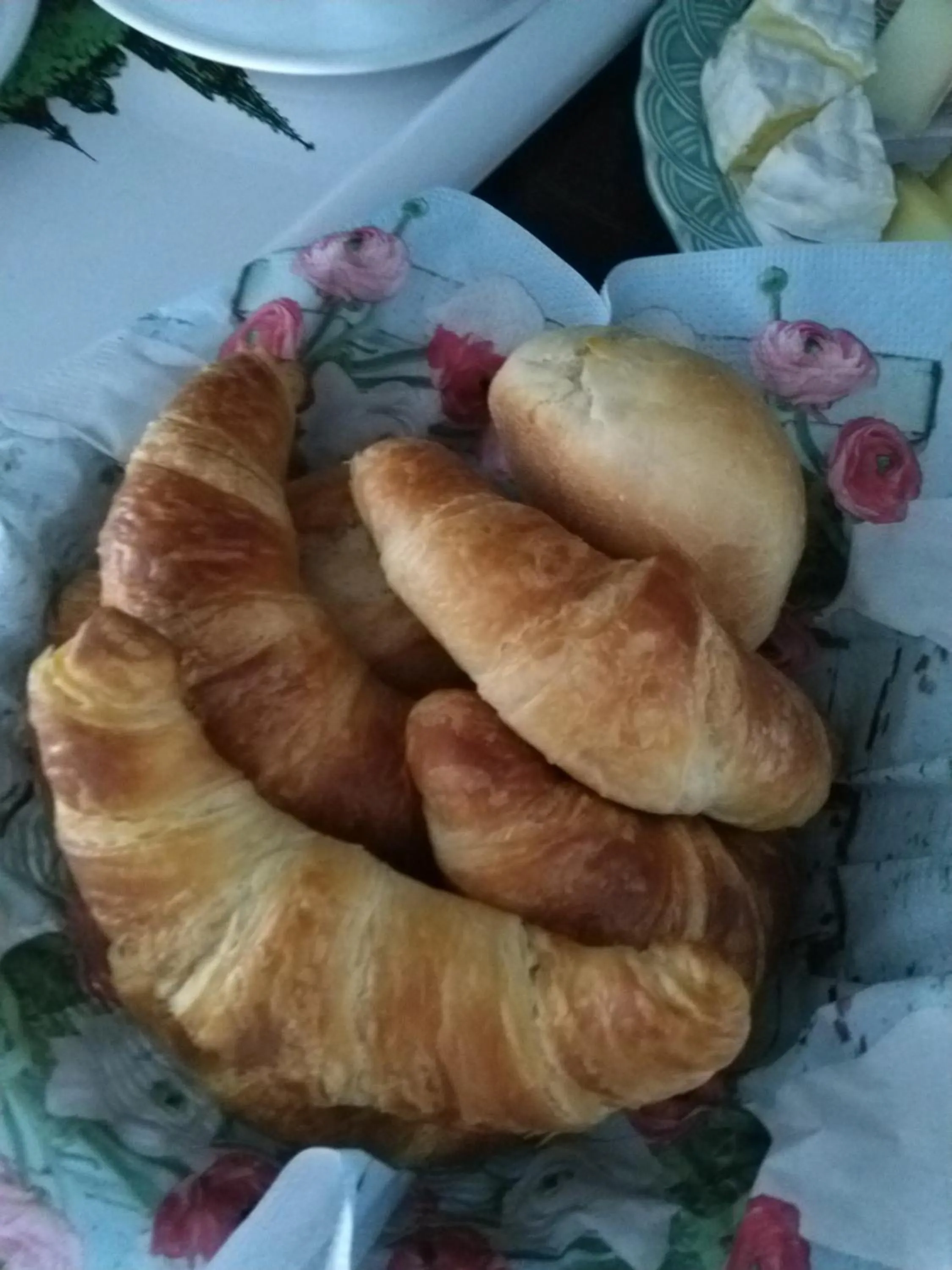 Food close-up in Swiss Borzoi House