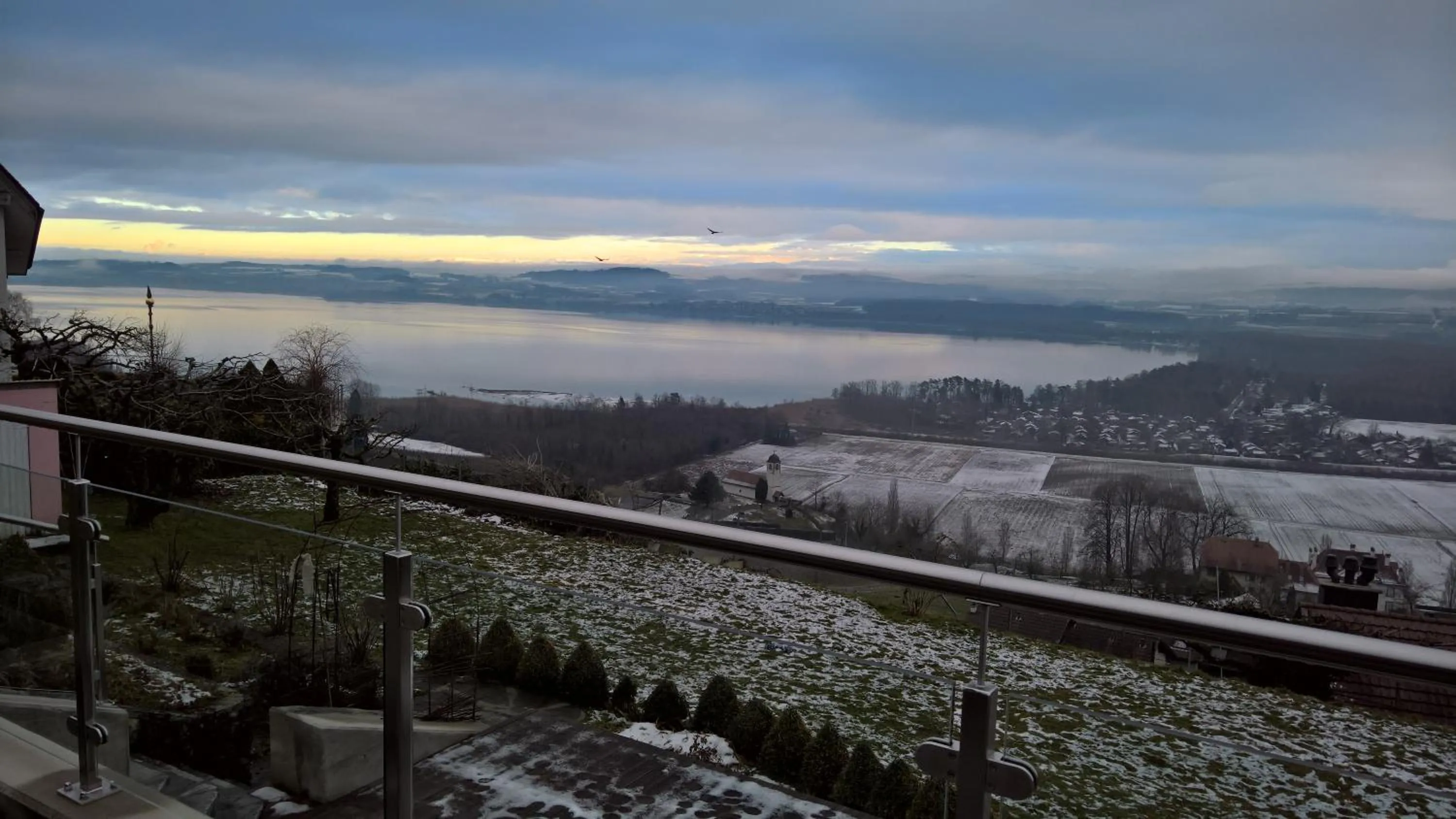 Winter in Swiss Borzoi House