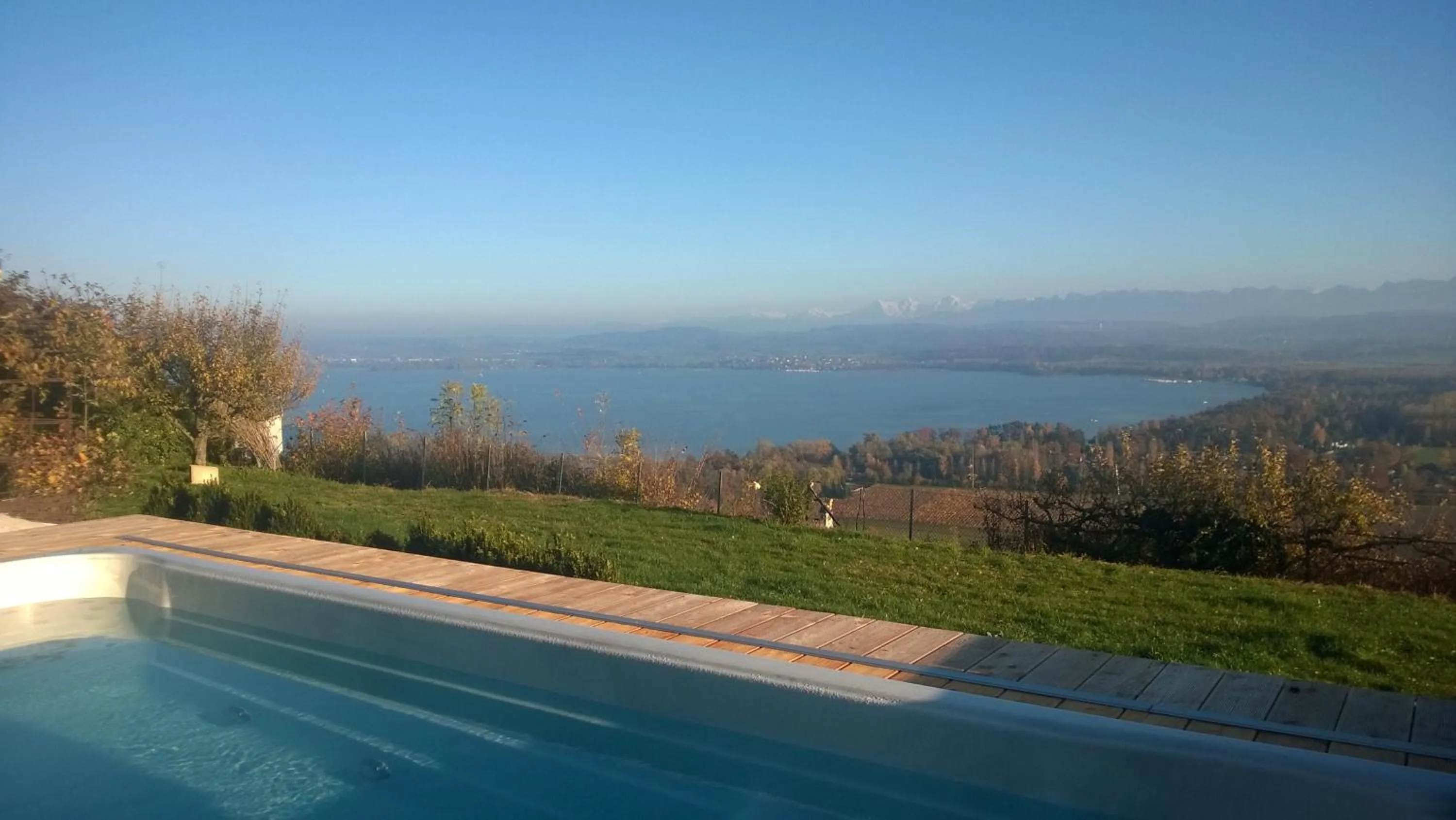 Garden in Swiss Borzoi House