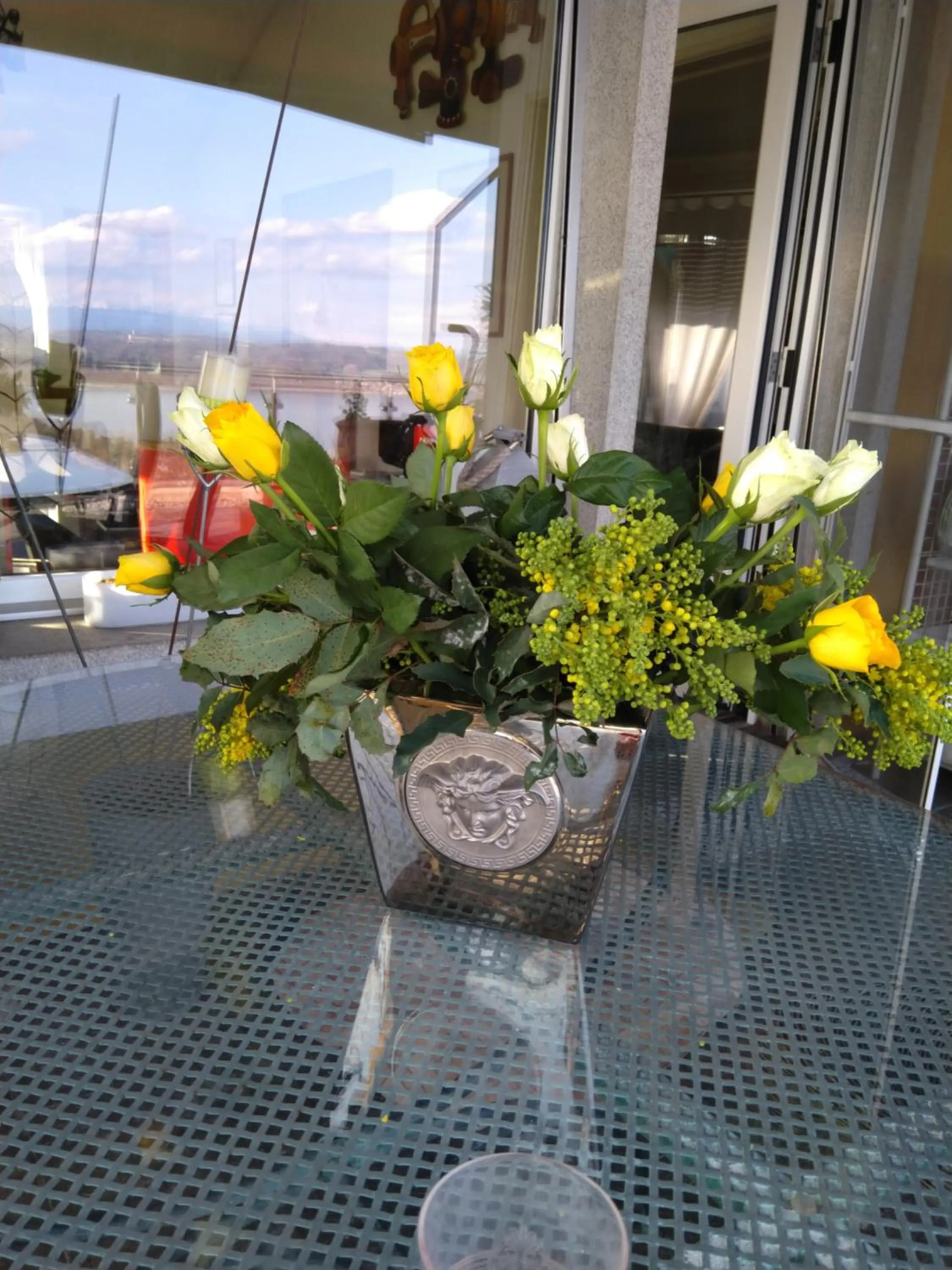 Patio in Swiss Borzoi House