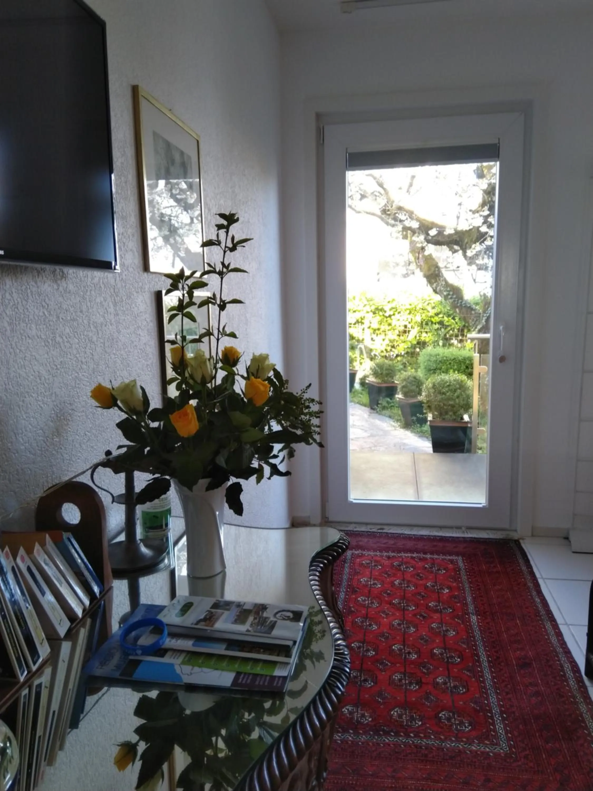 TV and multimedia in Swiss Borzoi House