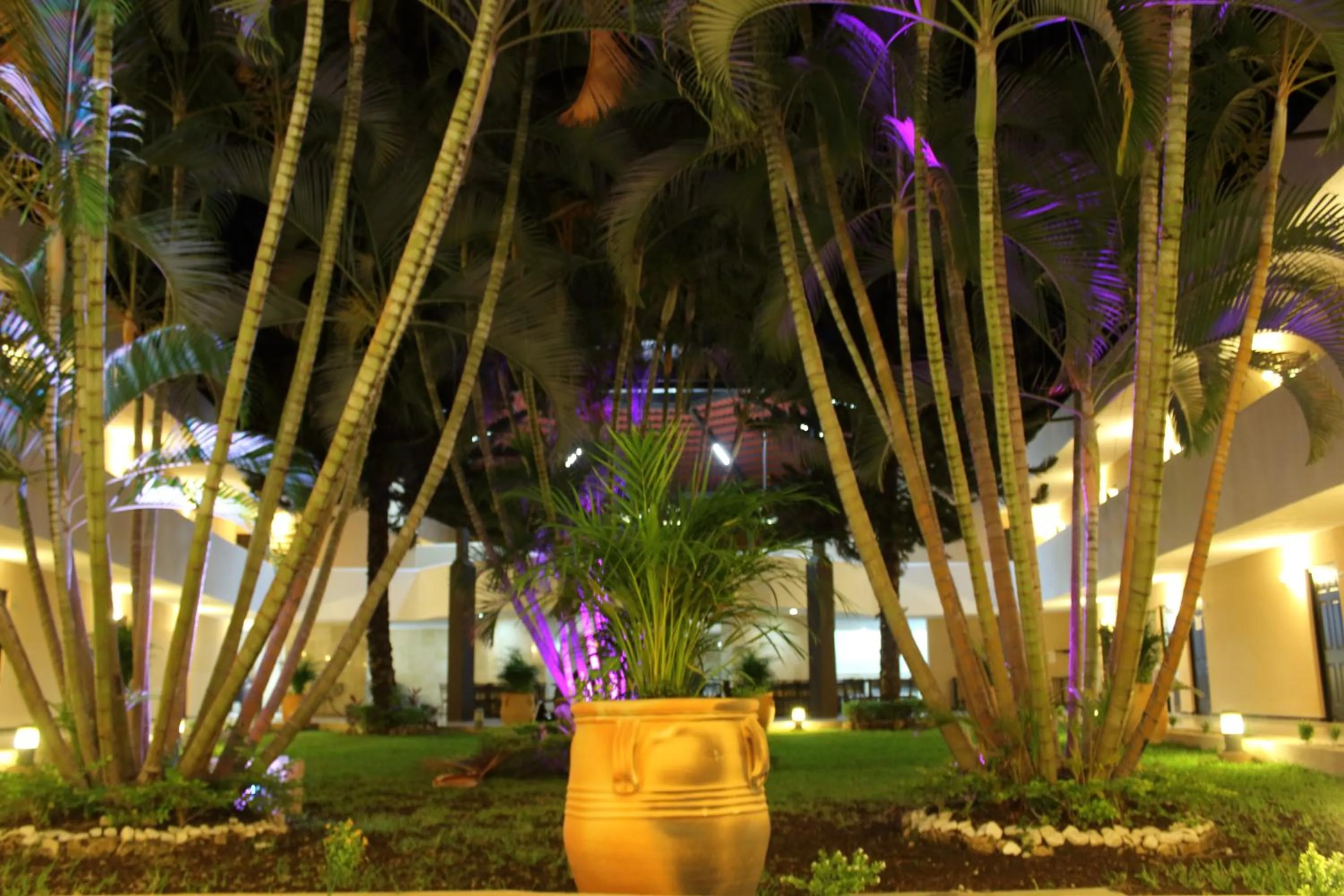 Garden in Quinta Chiapas