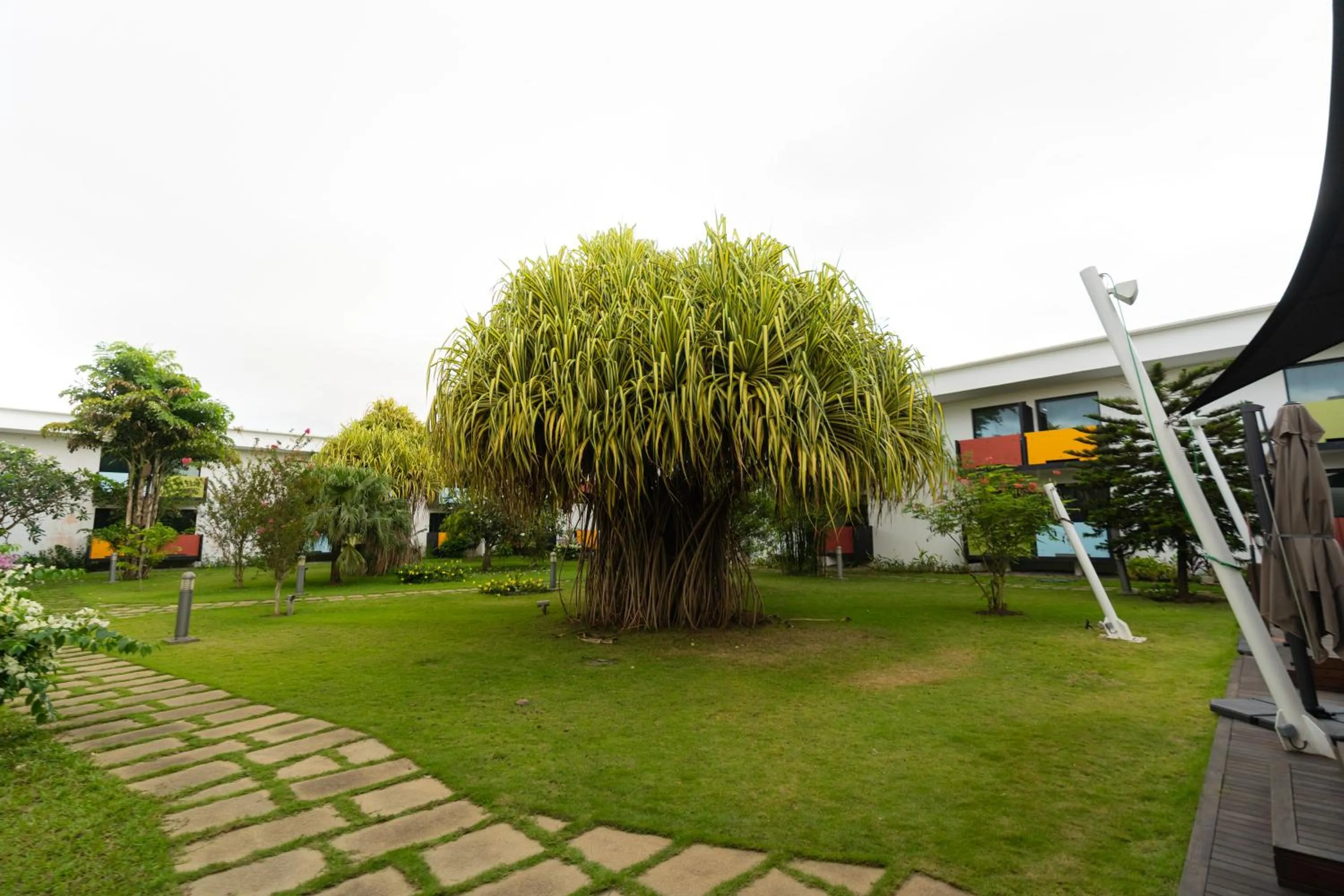 Garden in ONOMO Hotel Abidjan