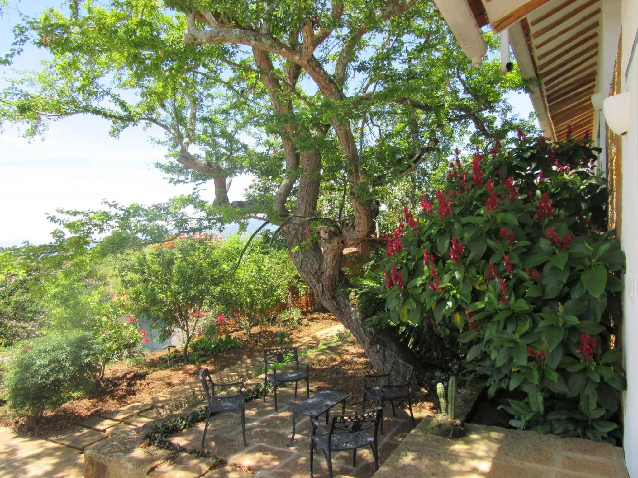 Balcony/Terrace in Casa Barichara Boutique