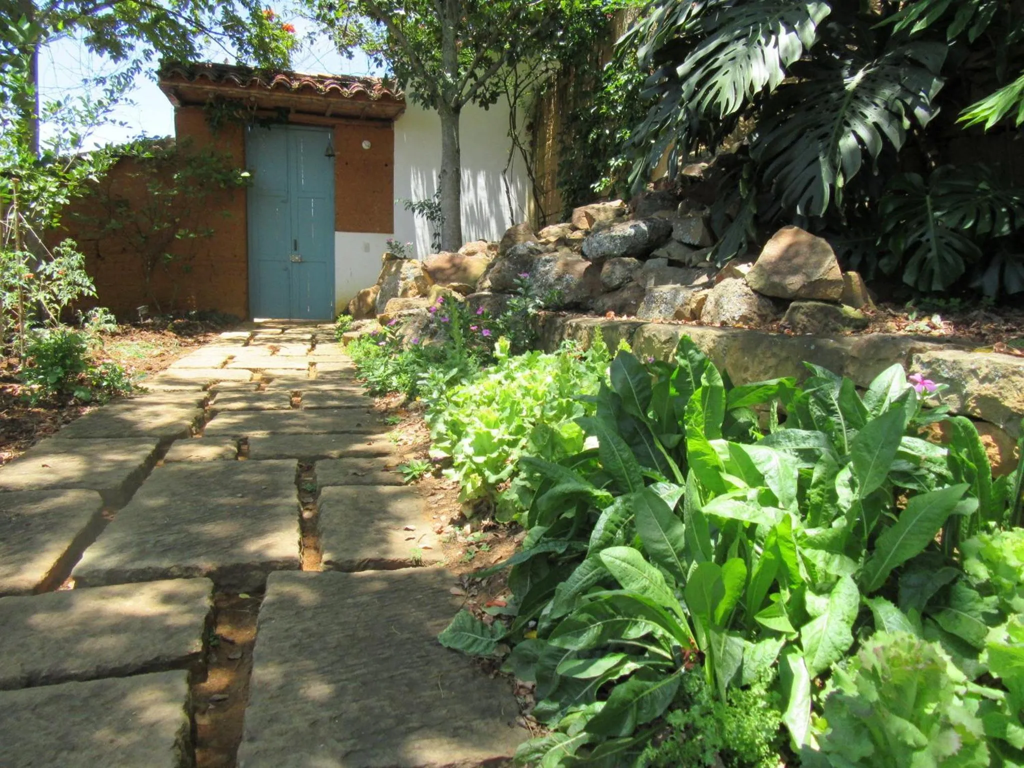 Garden in Casa Barichara Boutique