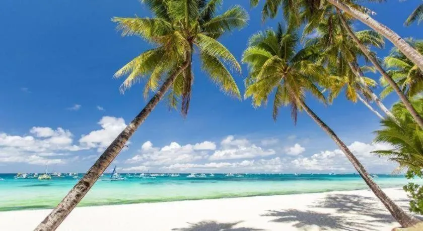 Tamaraw Beach Resort