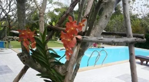 Kanvela Resort