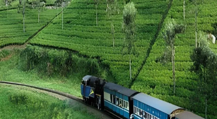 Sun Park Grand Hotel