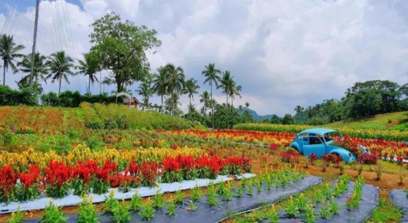 Batis Aramin Resort And Hotel Corp.