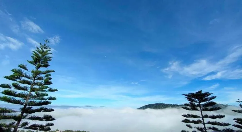 180 All Day All Season