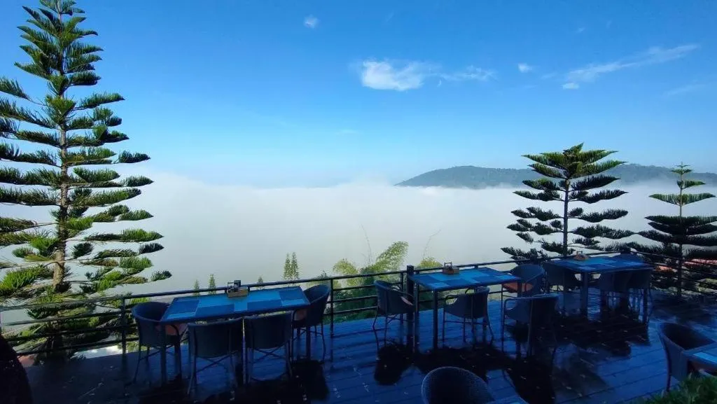 180 All Day All Season