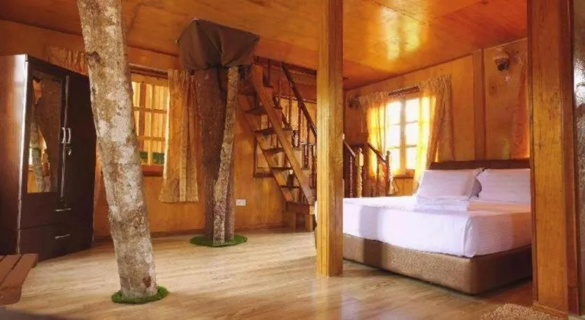 Bed in Borneo Tree House