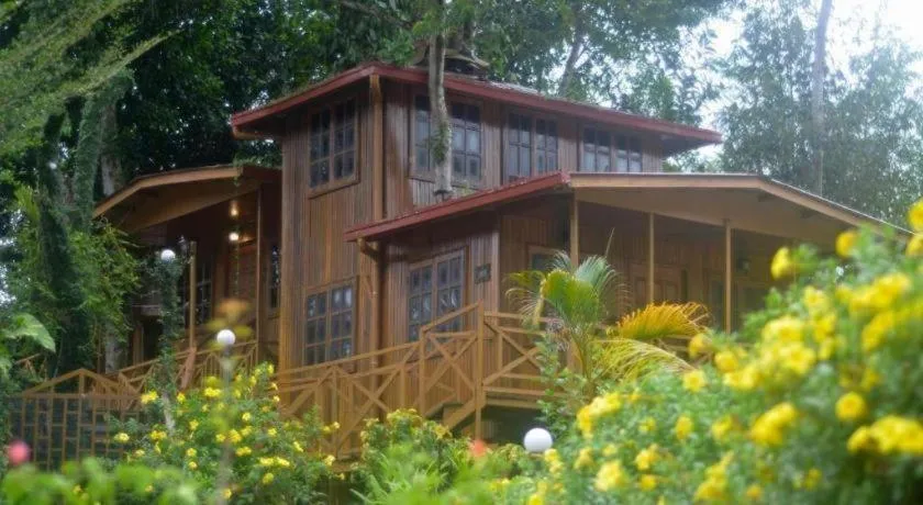 Borneo Tree House