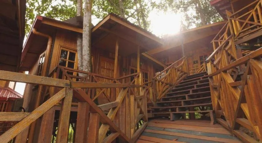 Borneo Tree House