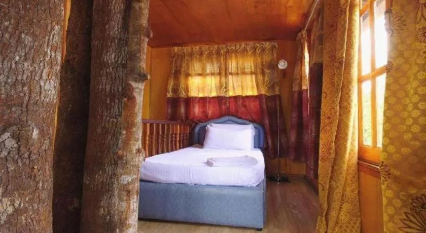 Bed in Borneo Tree House