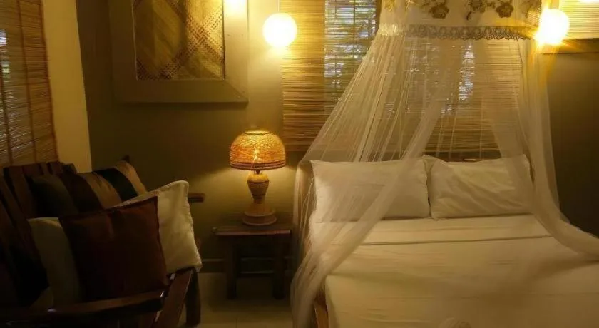 Bed in Summer Connection