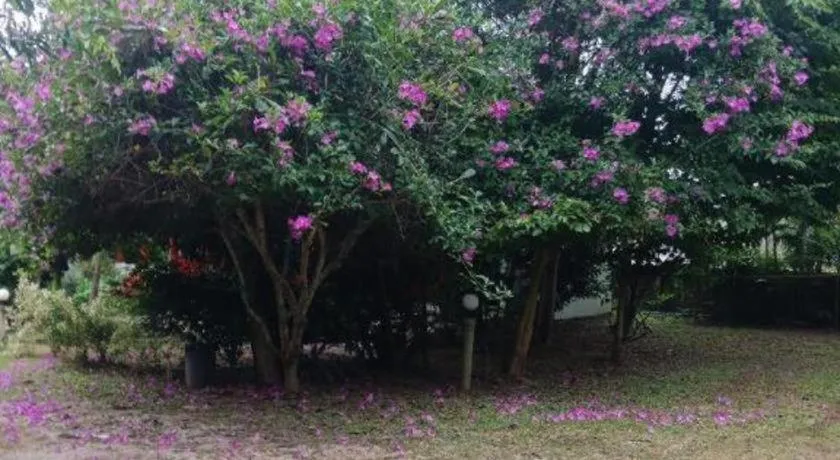 Chiangkhan Greenview Resort