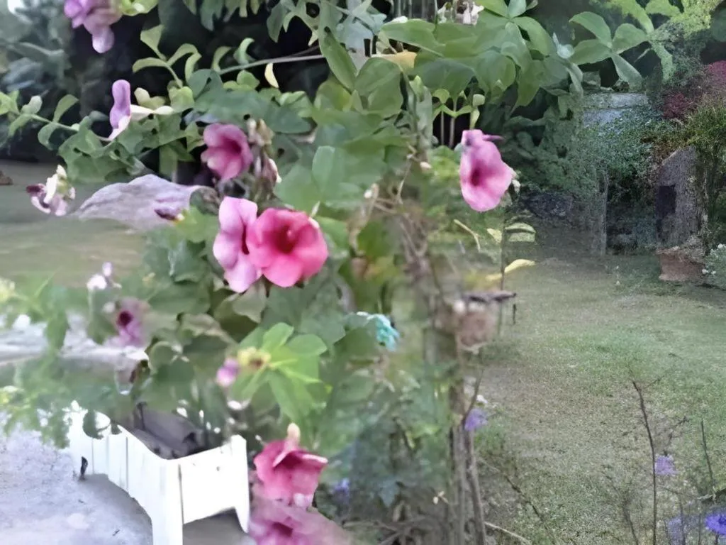 Chiangkhan Greenview Resort