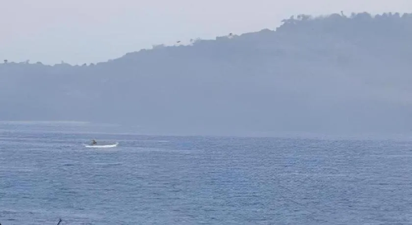 Anahaw Island View Resort