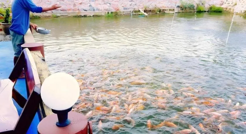 42 Somwang Resort