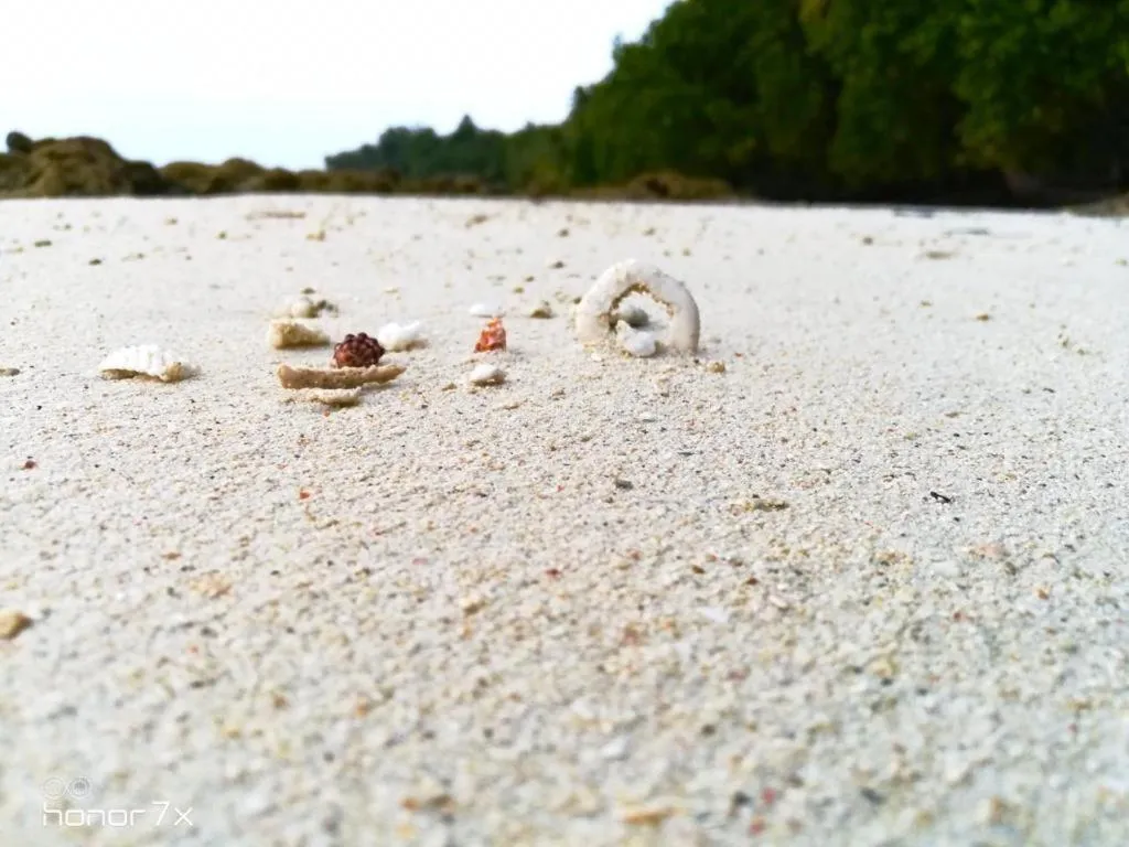 Green Valley Resort-Havelock Island