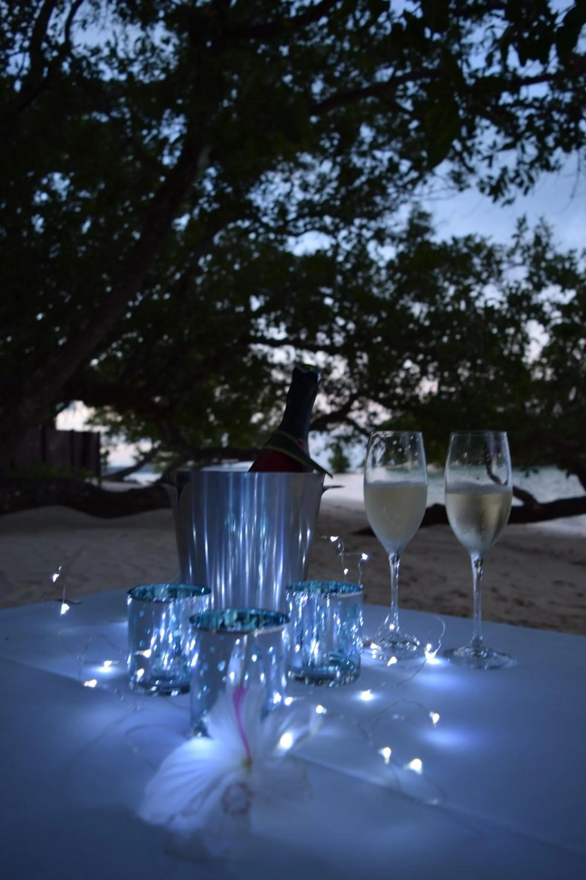 Barrier Beach Resort