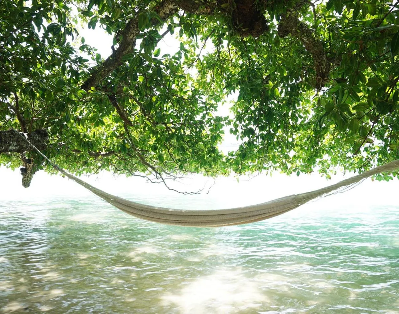 Barrier Beach Resort