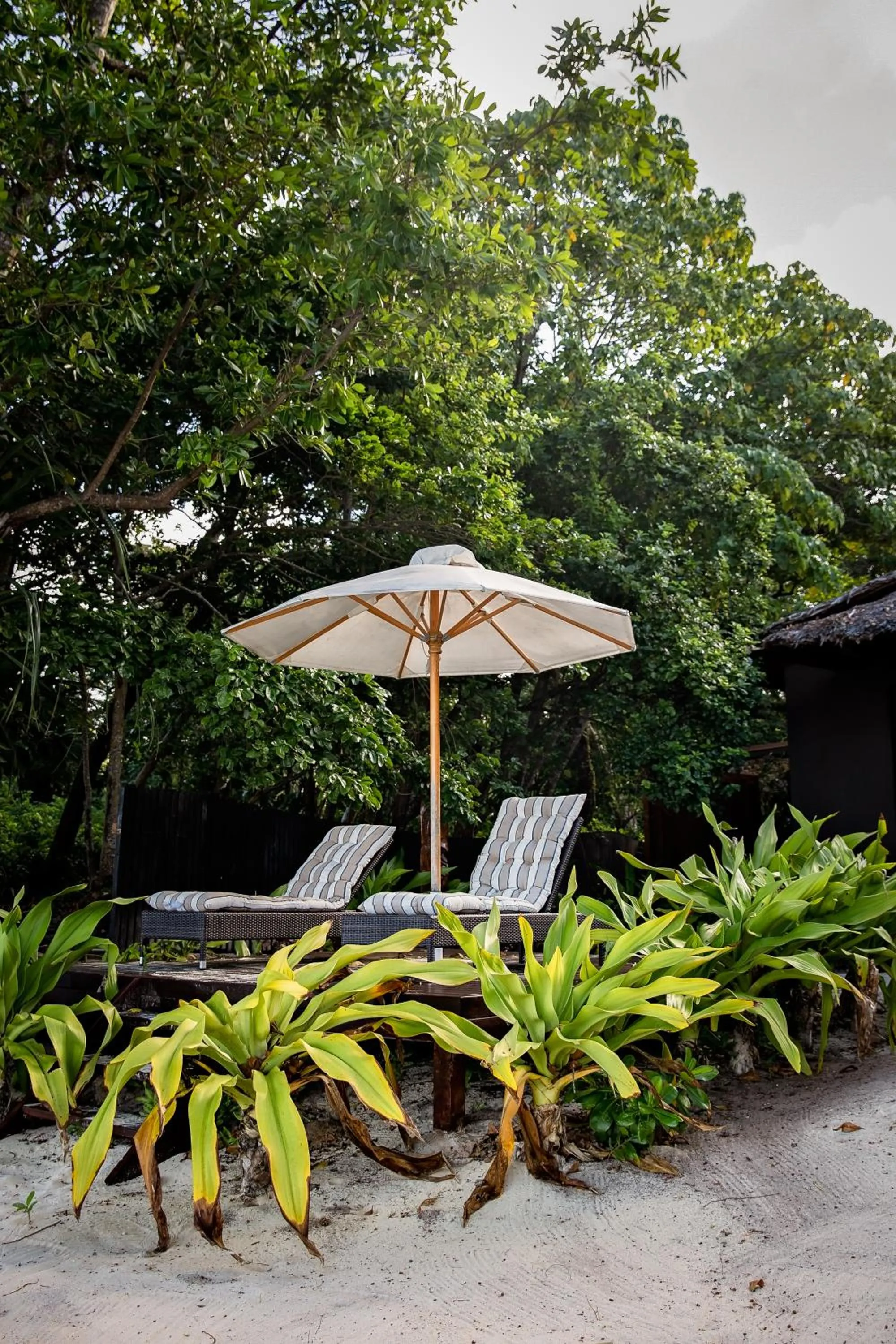 Barrier Beach Resort