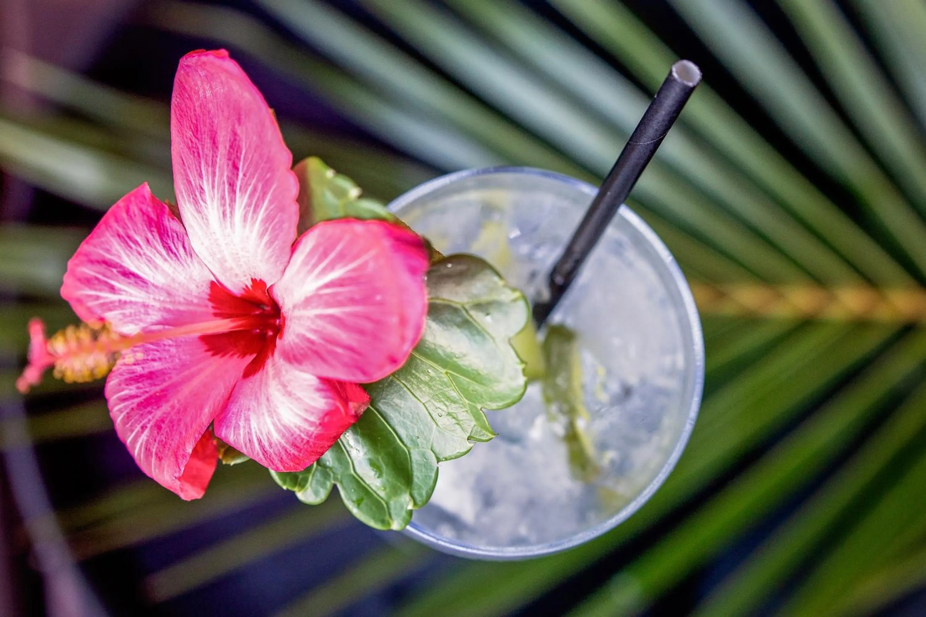 Barrier Beach Resort