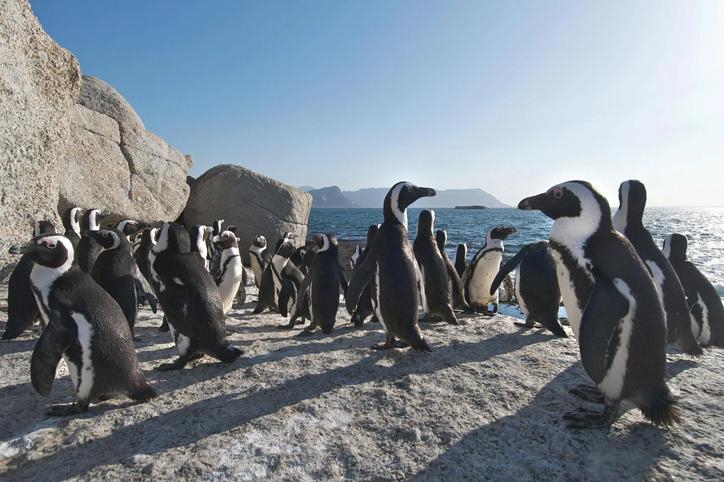 Nearby landmark in Colona Castle