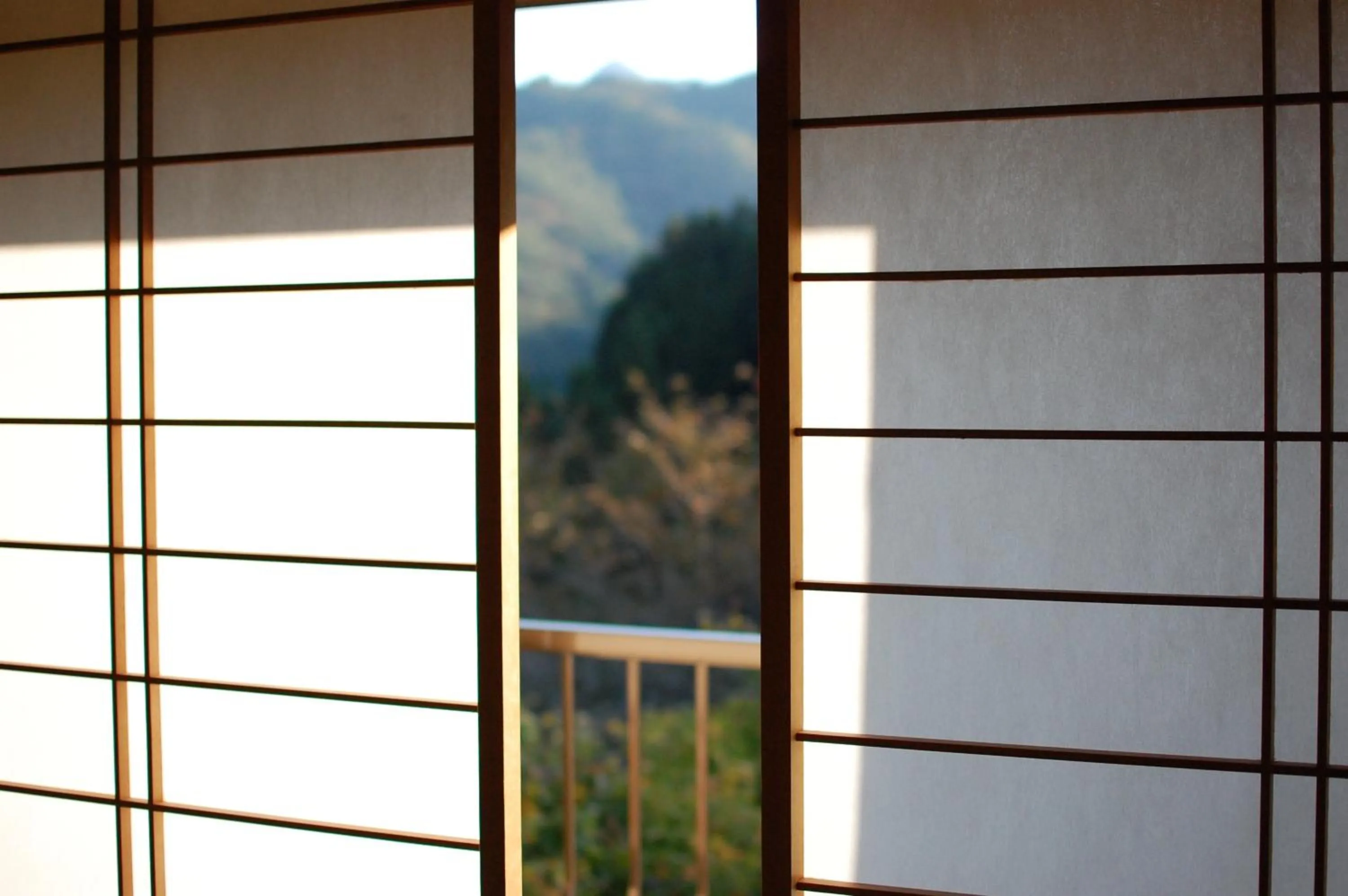 Mountain view in Sawatari Onsen Miyataya Ryokan