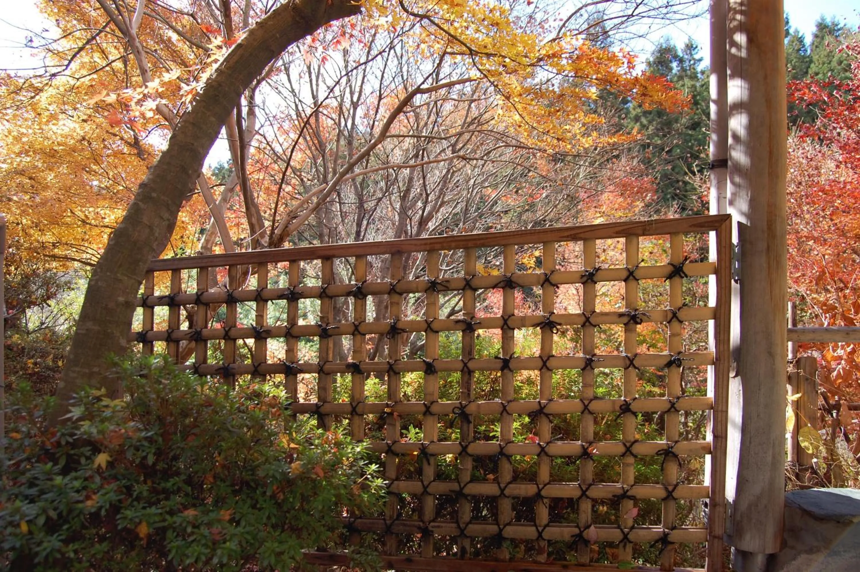 Hot Spring Bath in Sawatari Onsen Miyataya Ryokan
